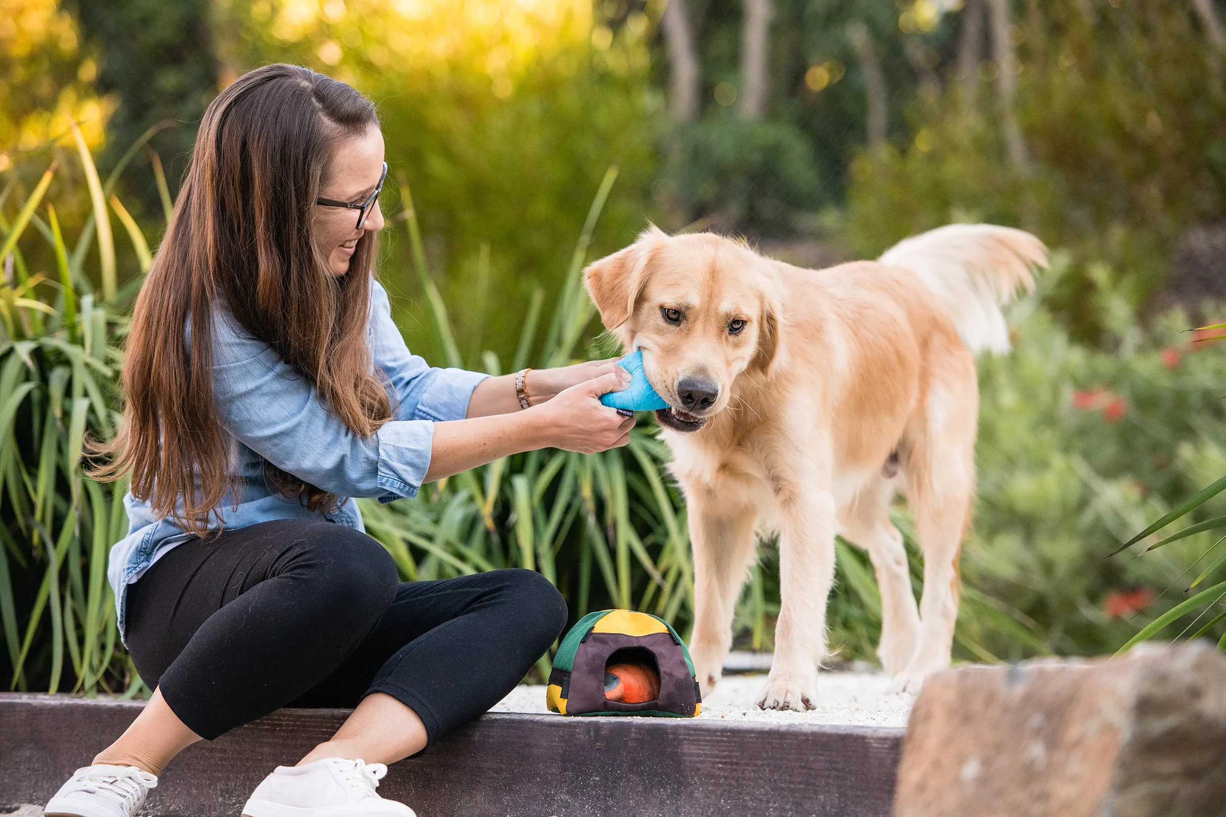 Camp Corbin Squeaky Plush Dog toys, Trailblazing Tent