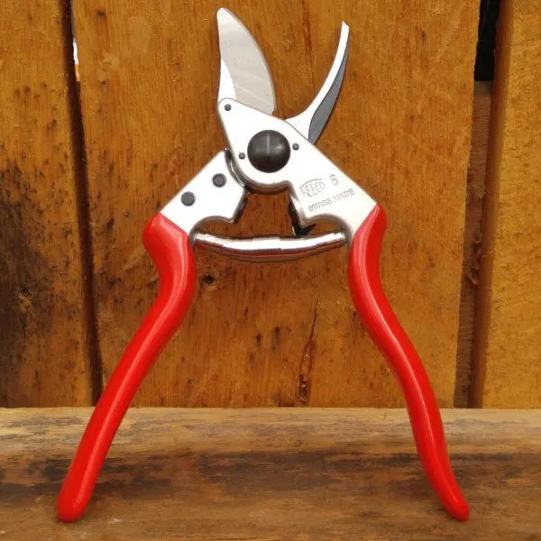 Felco 6 Pruner