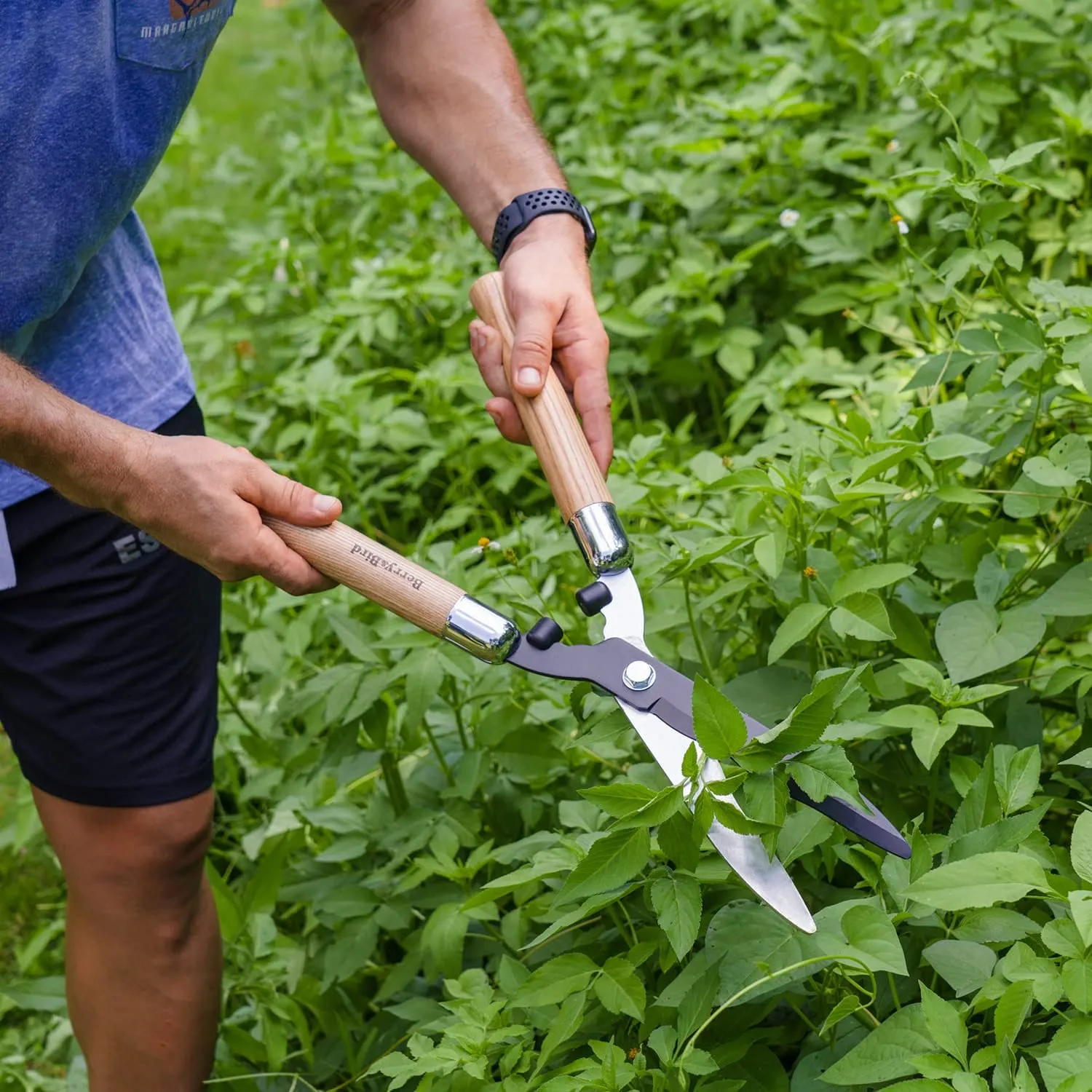 Garden Tools Hedge Shears 19.88 inch with Wooden Handles