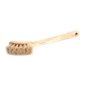 Horsehair Tampico Dish Brush