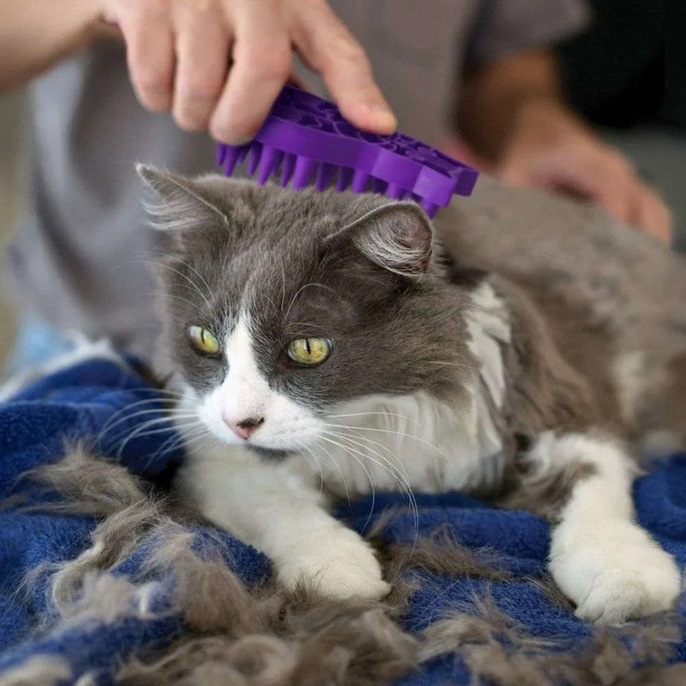 Kong Zoomgroom Cat Brush