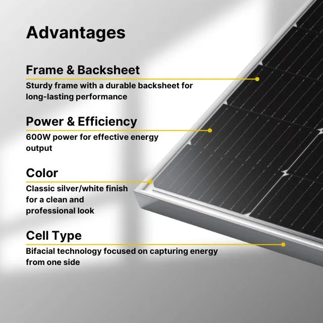 LONGi 600W Rigid Monocrystalline Bifacial Solar Panel