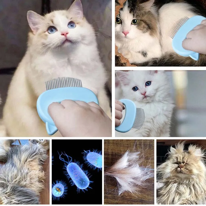 Pet Shell Massager Grooming Comb