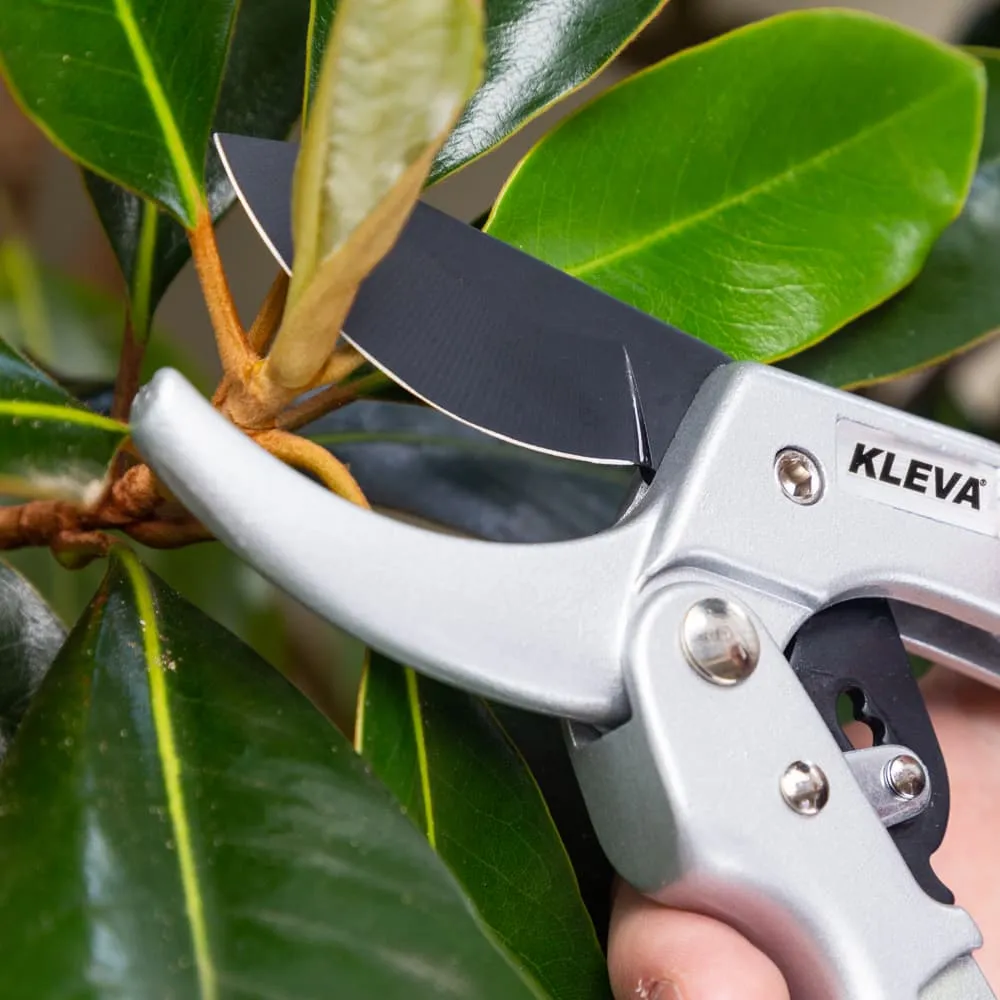 Quality Ratchet Pruning Shears With Easy Grip Squeeze & Release Handles