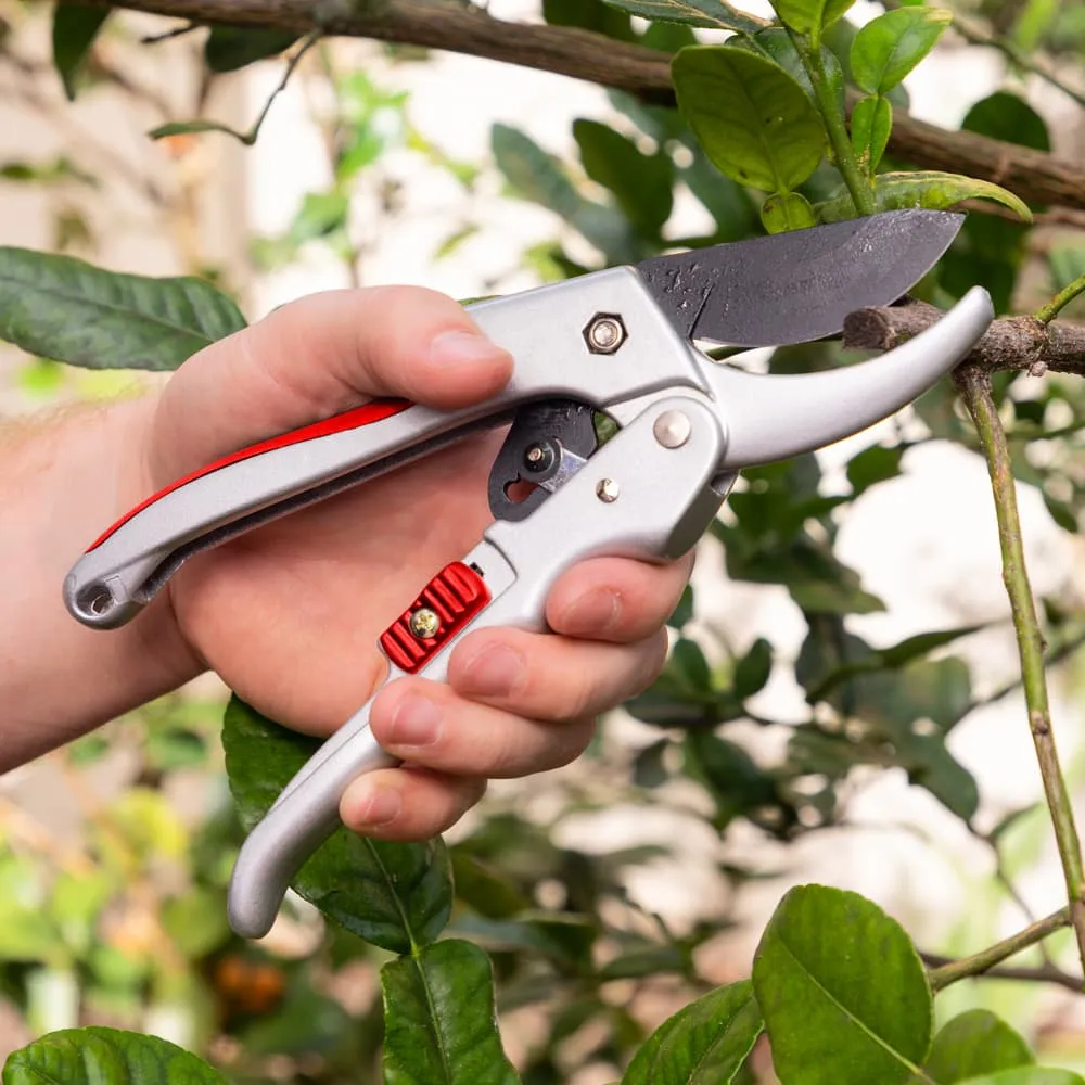 Quality Ratchet Pruning Shears With Easy Grip Squeeze & Release Handles