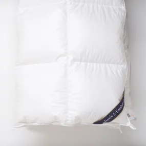 Snuggle Soft 800 Winter Weight Down Comforter - Queen (90" x 90")