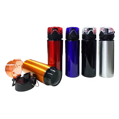 Stainless Steel Bottle with Push Lock Cap