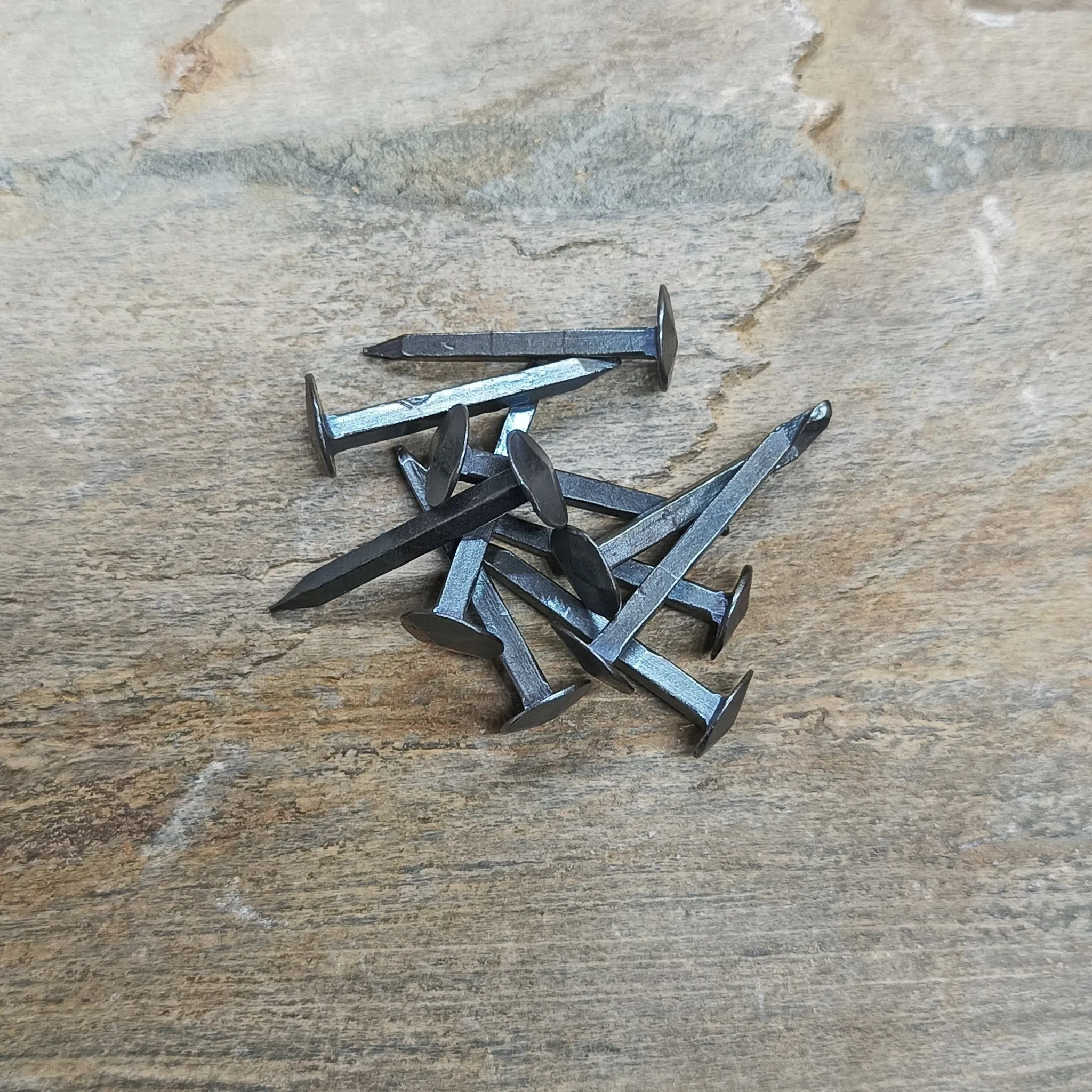 Steel Shield Rivets / Nails - Small