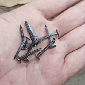 Steel Shield Rivets / Nails - Small