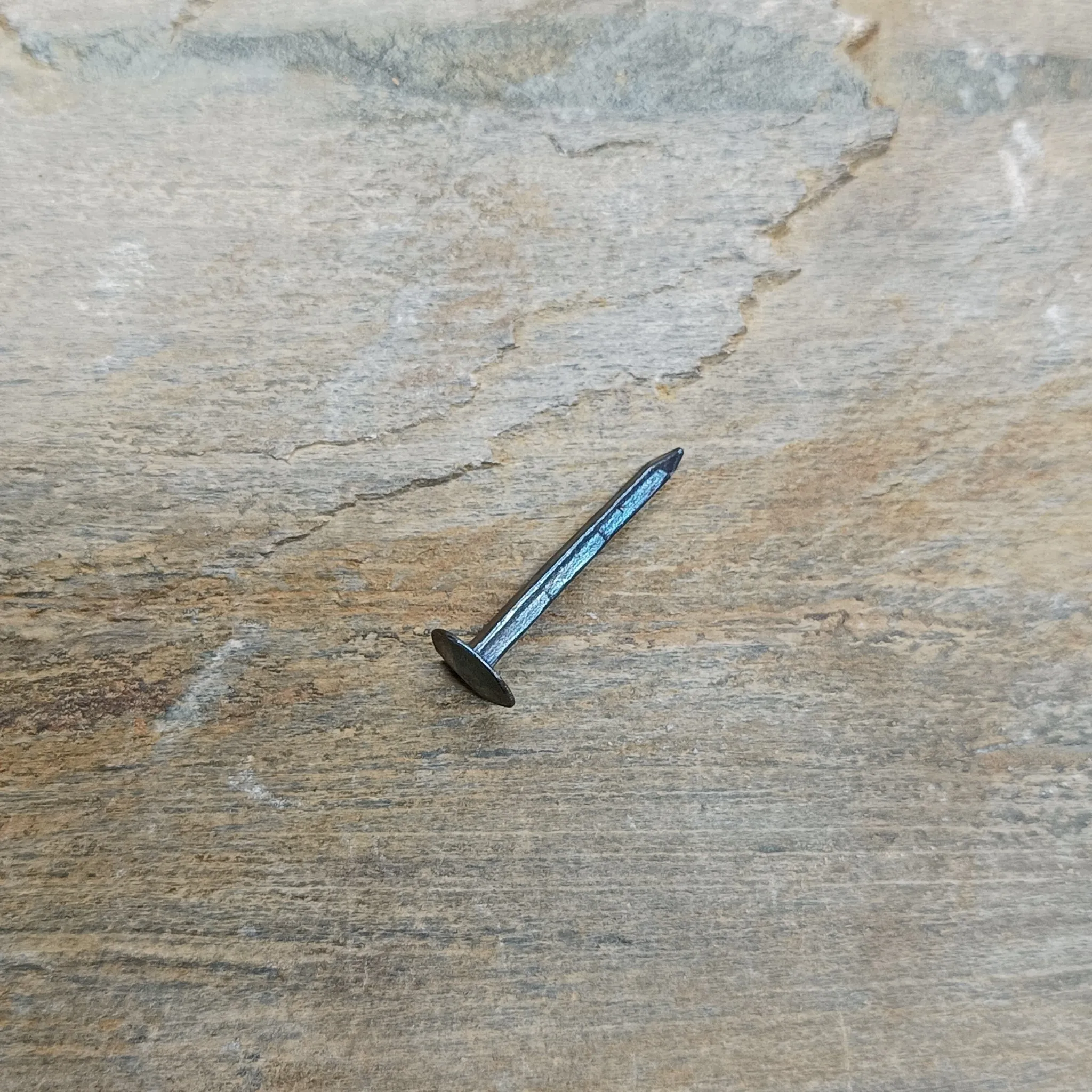 Steel Shield Rivets / Nails - Small