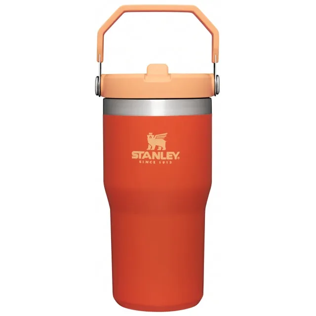 The Iceflow Flip Straw Tumbler 20 Oz