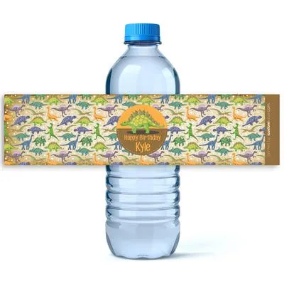 Vintage Dinosaurs Birthday Water Bottle Labels